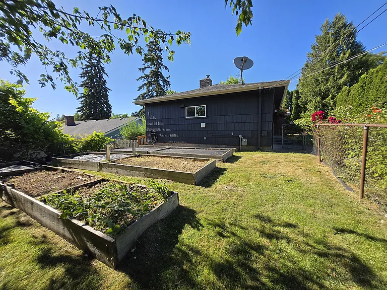 Garden beds in afternoon sun. Strawberries in the front bed. XL patch of raspberries on the right side of this fence next to roses. Super sweet berries.