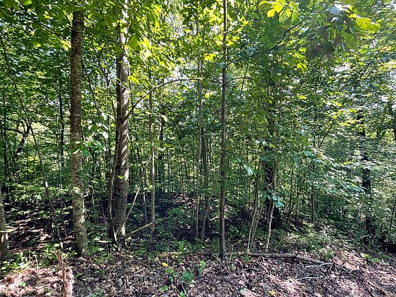 5th image of LOT 8D Eagle Heights Rd