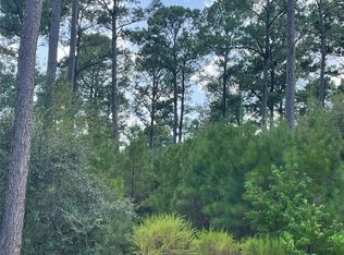 9424 Old Cedars Dr, Plantersville, TX 77363