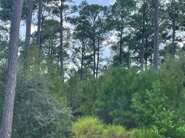 9424 Old Cedars Dr, Plantersville, TX 77363