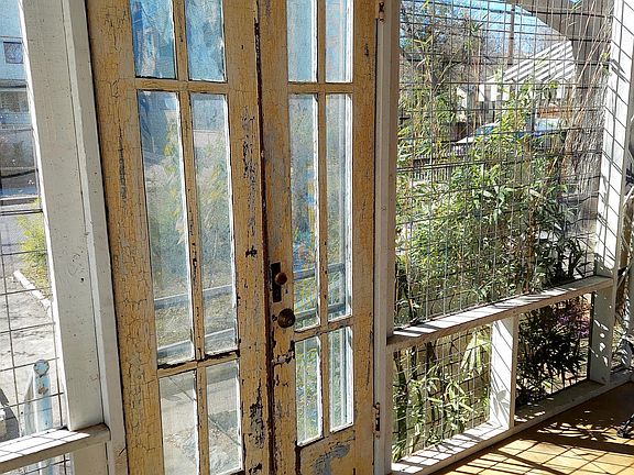 Looking out distressed doors on front porch into front yard.