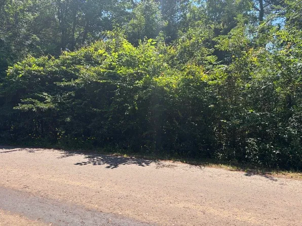 11 Deerwood Dr, Harleton, TX 75651