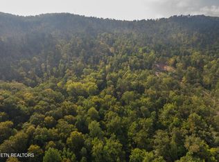Lake Ln, New Tazewell, TN 37825