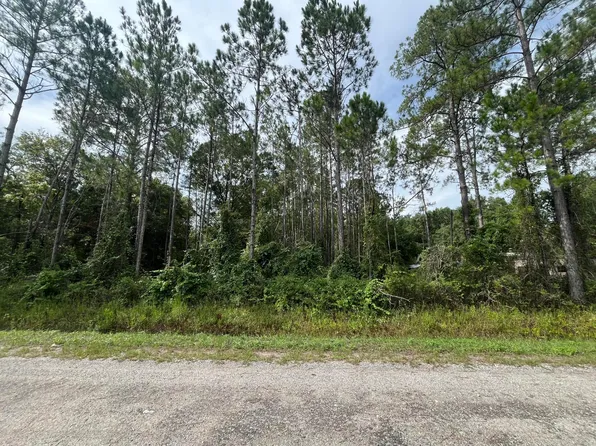 (undisclosed Address), Hastings, FL 32145