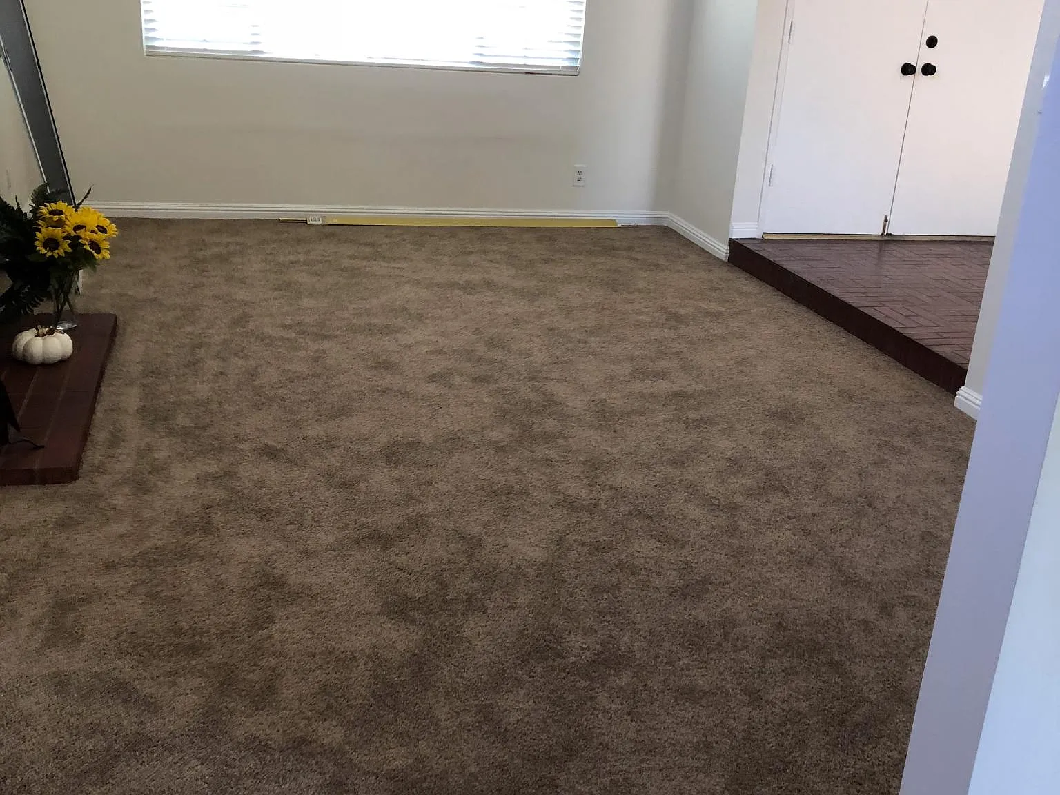 5231 Glenwood Cir — Photo 3
