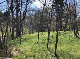 11971 Wintergreen Dr, Chardon, OH 44024