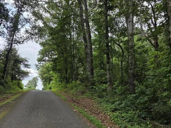0 County Road 156, Riceville, TN 37370