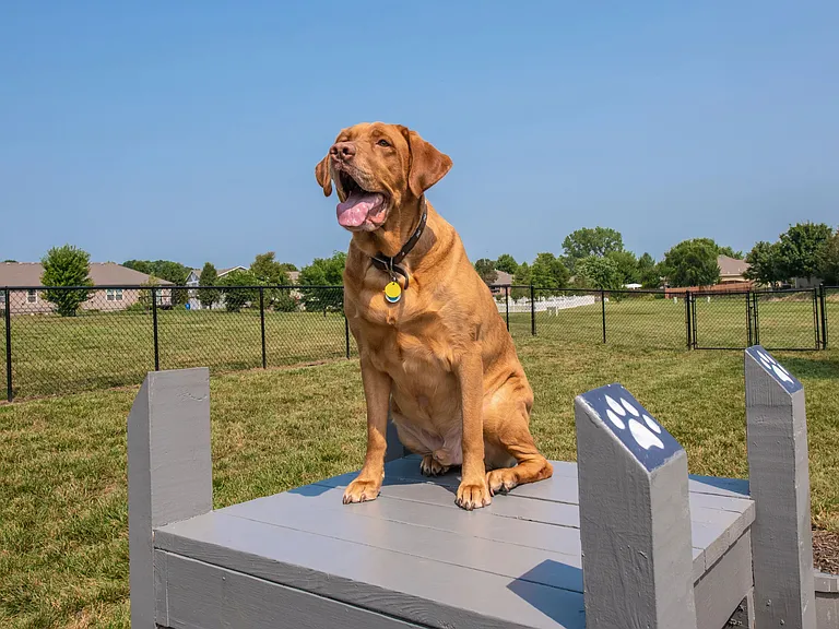 We offer pet-friendly apartments in Topeka, ensuring your four-legged friends enjoy your new home with you. No weight restrictions either!