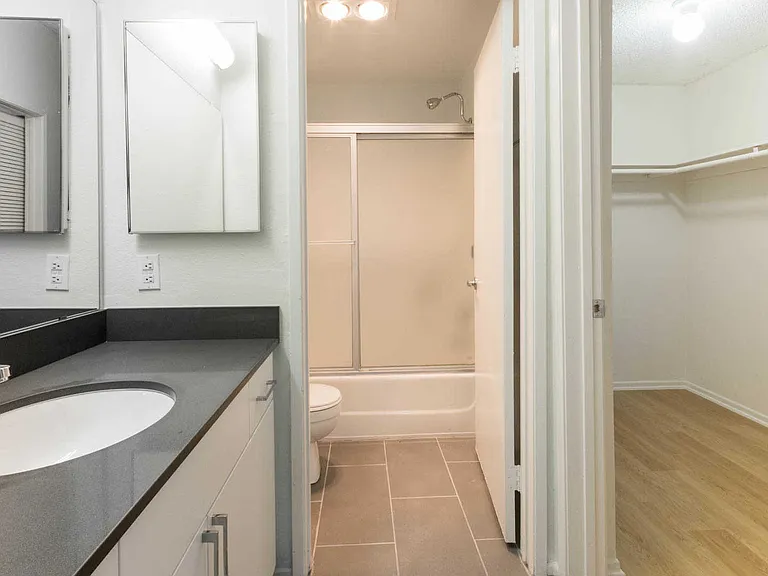 Bathroom and Walk-In Closet