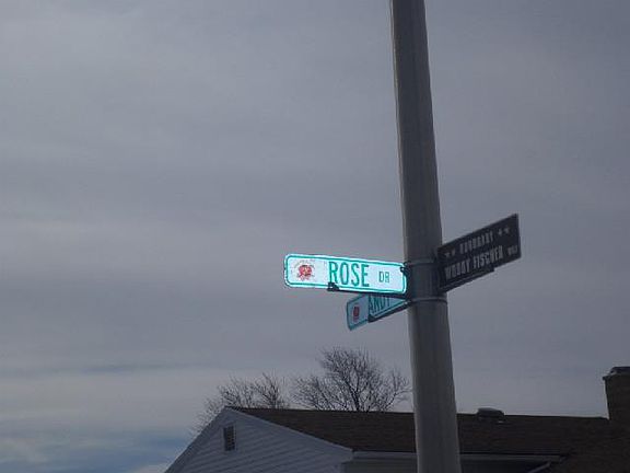 4th image of 520 Rose Dr