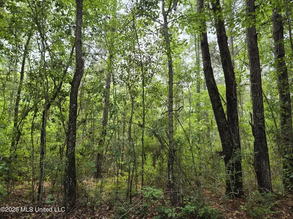 Harry Sones Rd, Carriere, MS 39426