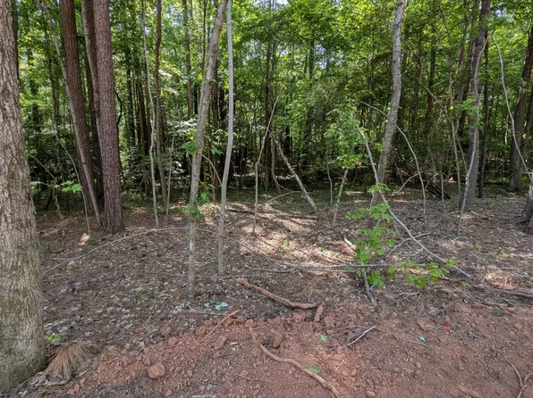 510 Fletcher Farms Way, Carthage, NC 28327