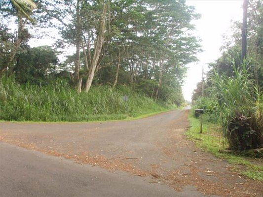 2nd image of Kahukai St