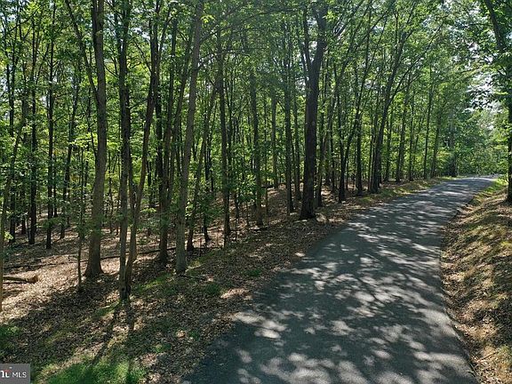 3rd image of WALNUT RIDGE ROAD