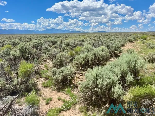 Sunshine Vly, Questa, NM 87556