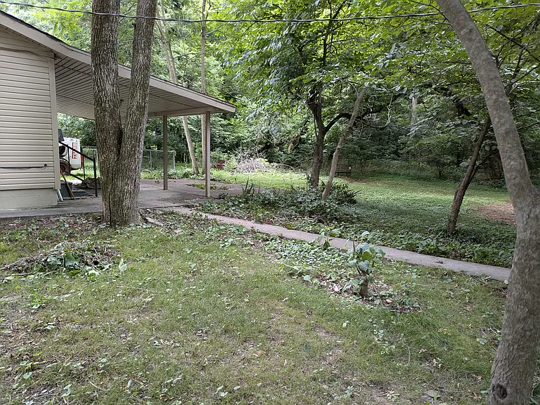 Backyard