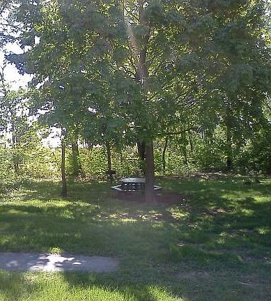BBQ Area