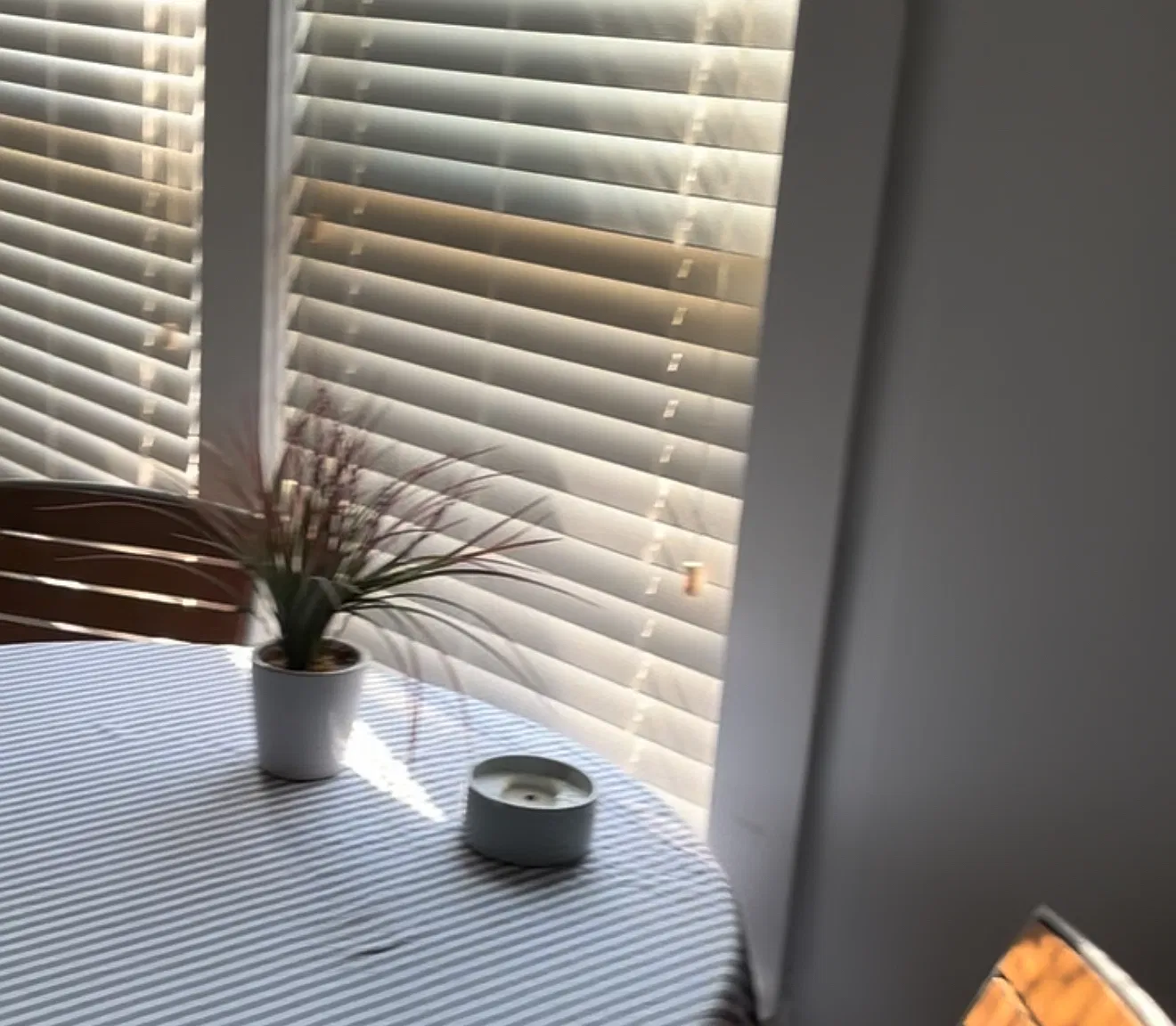 1 bed, 800 sqft, $1,650 — Photo 3
