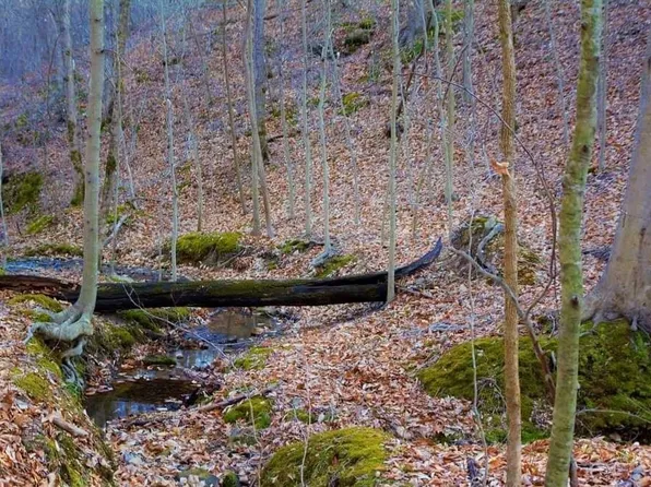 0 Waynoe Rd, Ashland City, TN 37015