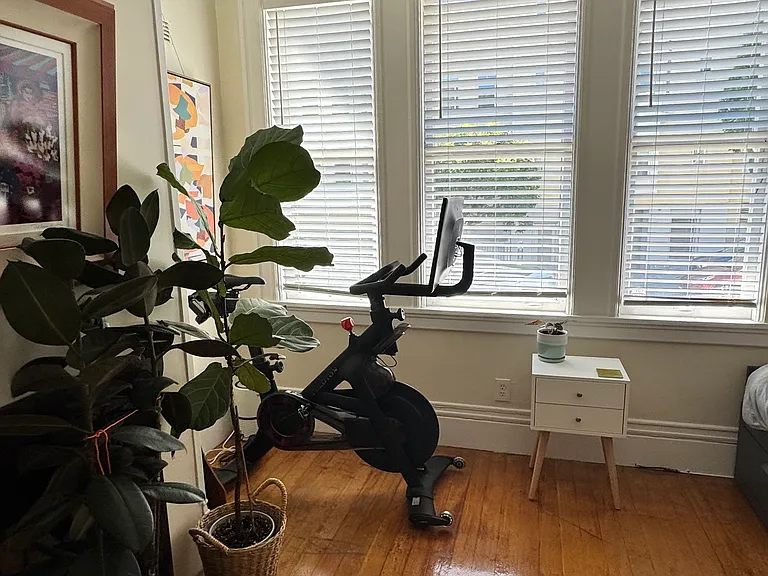 1774 Golden Gate Ave #2 — Photo 15