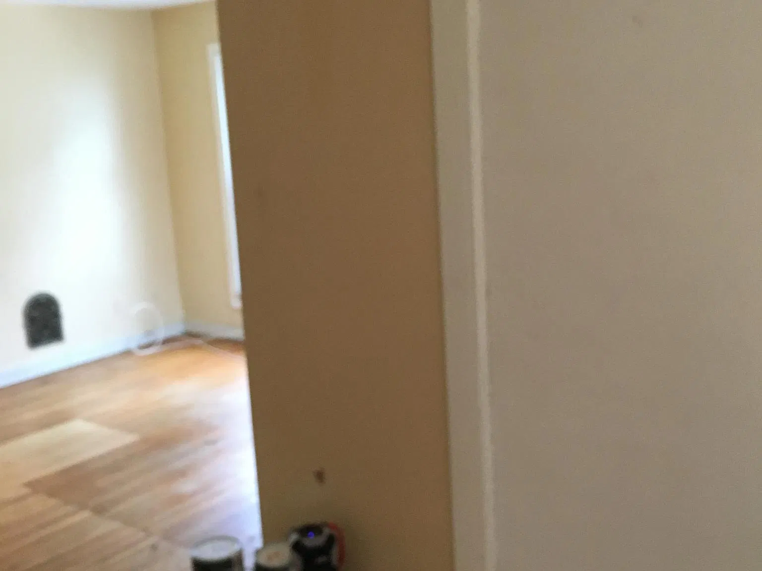 1 bed, 700 sqft, $1,025 — Photo 4