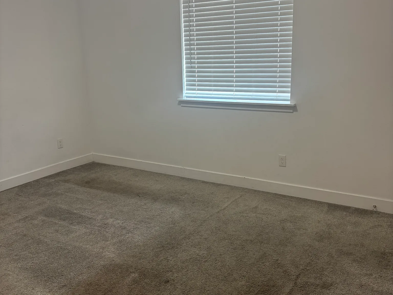 3 bed, 1200 sqft, $1,800 — Photo 3