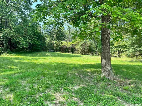 310 Blueberry Hill Rd, Cobden, IL 62920