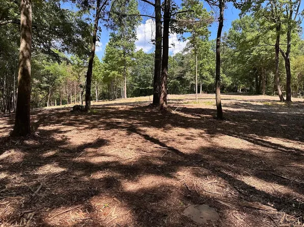 931 County Road 1242 Lot 3, Vinemont, AL 35179