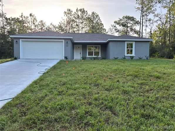 9729 N Paradisea Dr, Citrus Springs, FL 34433