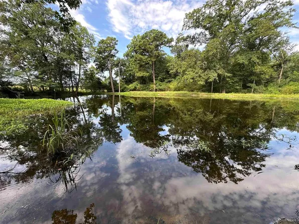 LOT Hattaway Rd #F, Opp, AL 36467