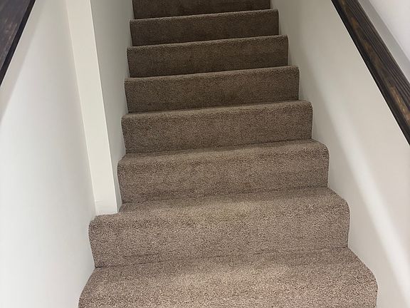 Carpeted Steps