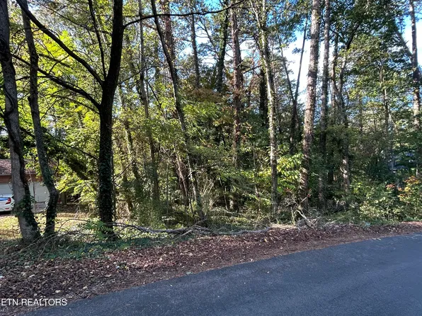 218 Oostanali Way, Tellico Plns, TN 37774
