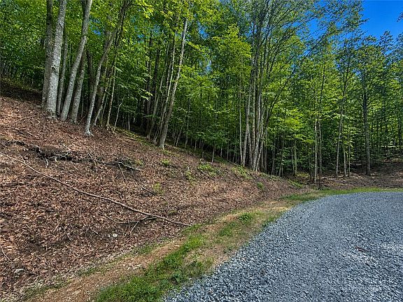 3rd image of 146 Sassafrass Road