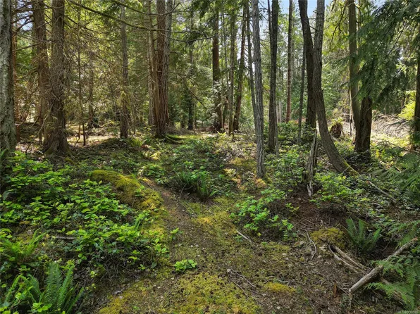 568 Aya Reach Rd, Southern Gulf Islands, BC V0N 2J1