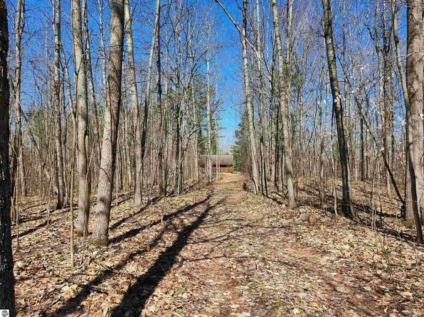 0 Big Bear Trl NE, Kalkaska, MI 49646