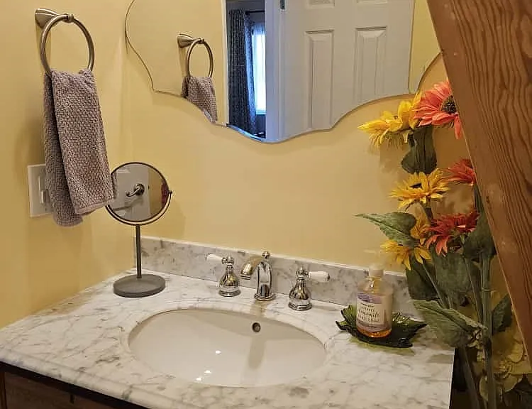 32415 Scandia Dr #32415 — Photo 23