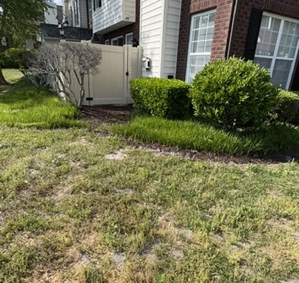 5821 Ludington Dr — Photo 3
