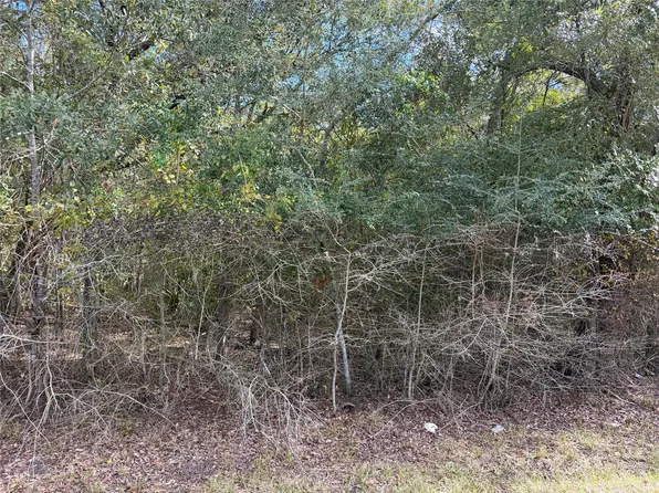 0 Bayou Dr, Danbury, TX 77534