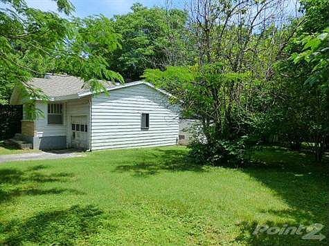 Just a view of the side yard too. Wow! I haven't even shown the backyard pictures yet :D