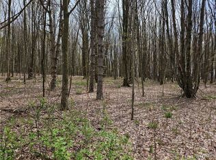 12 Trail Hts #34, Ellicottville, NY 14731