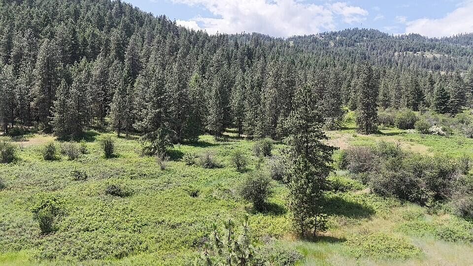 1st image of 20XX Northport Flat Creek Rd