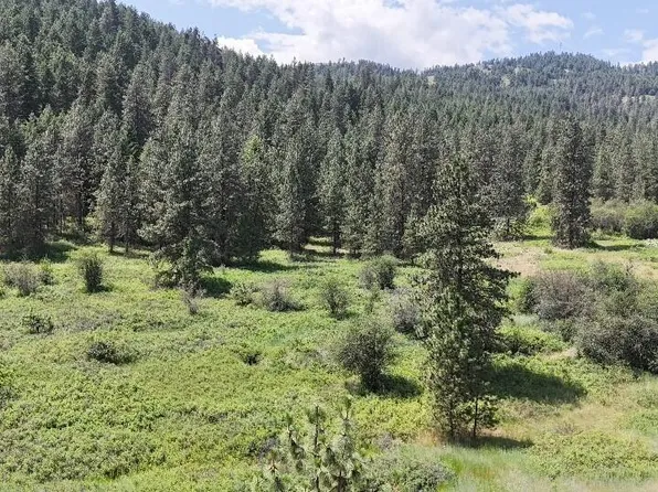 20XX Northport Flat Creek Rd, Kettle Falls, WA 99141
