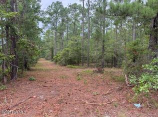 0 State Highway 210 Rd LOT 1, Currie, NC 28435