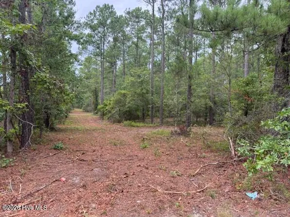 0 State Highway 210 Rd Lot 1, Currie, NC 28435