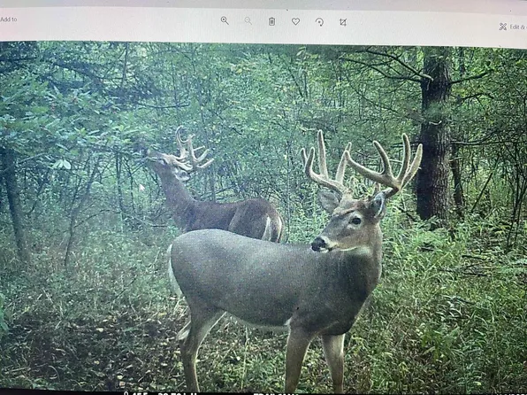 4400 North Deer Lane, Mosinee, WI 54455