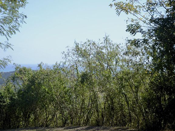 4th image of 51 River PR