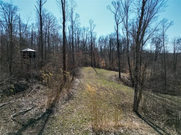 Dixon Ridge Rd, Lowell, OH 45744