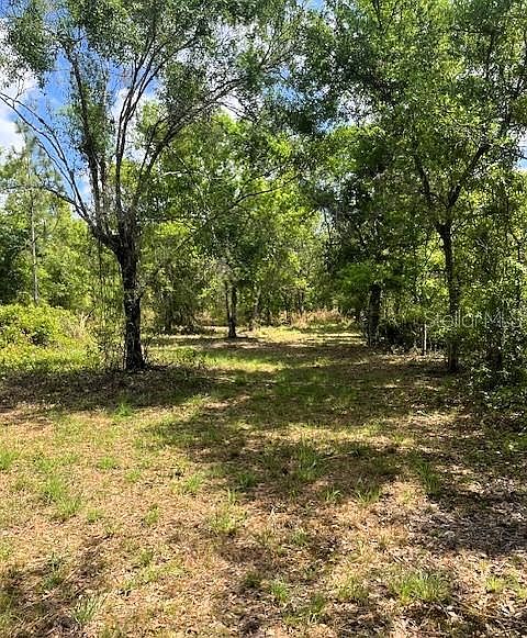 1st image of 1278 NW EUCALYPTUS AVENUE LOT 37