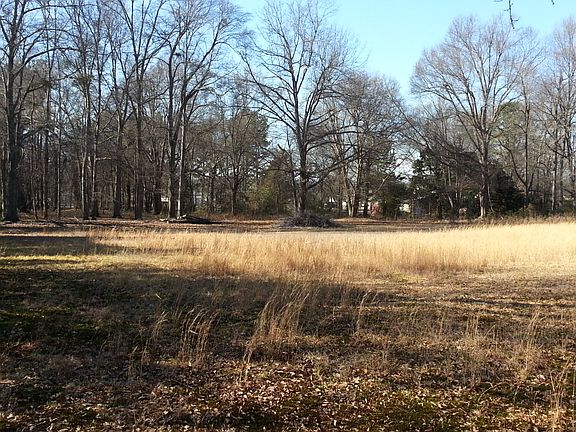 Cleared Section from back