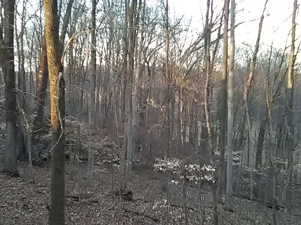 1st image of 48 National Ave